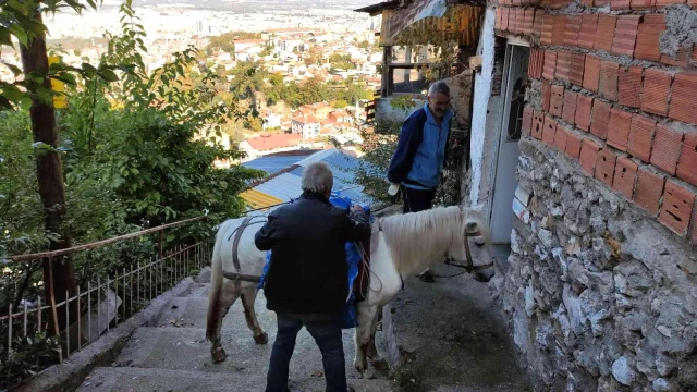 Araçların girmediği mahalleye atıyla yük servisi yapıyor! Ton başına 150 lira kazanıyor