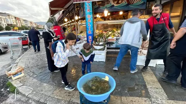 Lüks restoranların vazgeçilmezi! Tezgahta 30 lira olan kerevit, masada 500 lira