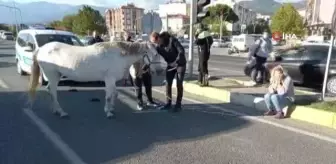 Ata çarpan kadın gözyaşlarına boğuldu