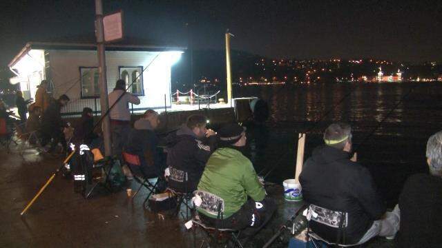 Tüm sahil şeridini denizanaları kapladı! Kimse elini suya sokmaya cesaret bile edemiyor Tüm sahil şeridini denizanaları kapladı! Kimse elini suya sokmaya cesaret bile edemiyor