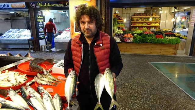 Balıkçılardan kilosu 10 TL'ye düşen hamsi için vatandaşa öneri: Şimdi tuzlama zamanı Balıkçılardan kilosu 10 TL'ye düşen hamsi için vatandaşa öneri: Şimdi tuzlama zamanı