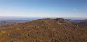 KASTAMONU - (DRONE) Küre Dağları'nda sonbahar güzelliği