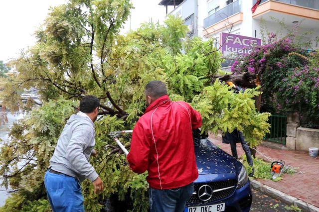 Belediyeye görüşmeye gitti, geri döndüğünde lüks aracını ağacın altında buldu Belediyeye görüşmeye gitti, geri döndüğünde lüks aracını ağacın altında buldu