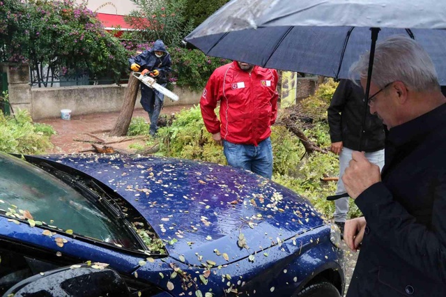 Belediyeye görüşmeye gitti, geri döndüğünde lüks aracını ağacın altında buldu Belediyeye görüşmeye gitti, geri döndüğünde lüks aracını ağacın altında buldu