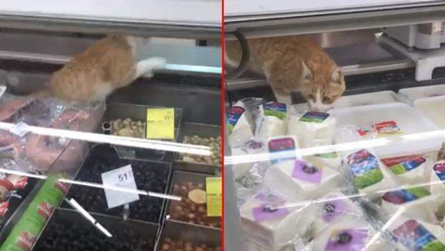 Zincir markette çekilen görüntüler vatandaşı isyan ettirdi: Kesilen cezaları bize yansıtıyorlar Zincir markette çekilen görüntüler vatandaşı isyan ettirdi: Kesilen cezaları bize yansıtıyorlar