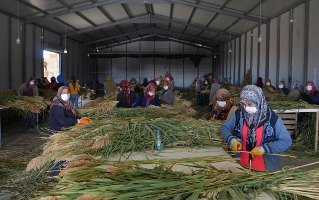 Ayşe öğretmenin 'pampas otu' projesi, köydeki 100 kadına iş imkanı sağladı