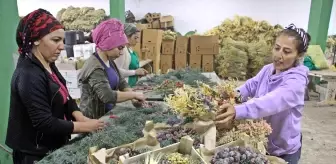 Avrupa'nın yılbaşı çelenkleri Antalyalı kadınların ellerinden çıkıyor