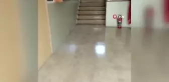 Eğitim yuvası mikrop yuvasına döndü
