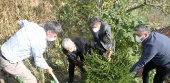 Giresun'da organları bağışlanan gencin anısına fidan dikildi