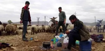 Göçerlerin zorlu dönüş yolculuğu başladı