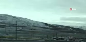 Kar altında binlerce fidanı toprakla buluşturdular