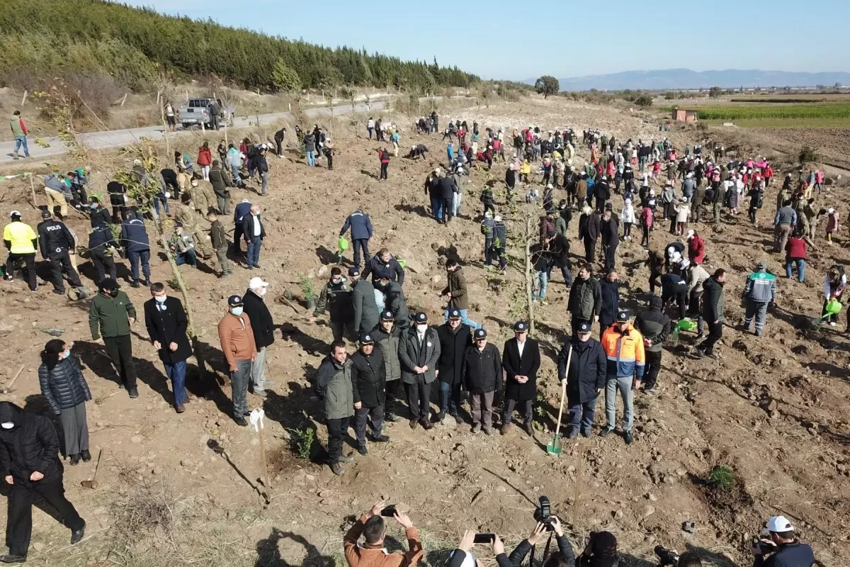 6 bin fidan Bergama da toprakla buluştu Son Dakika