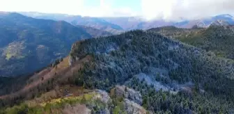 KASTAMONU - Drone - Küre Dağları'nın bir yanı sonbahar bir yanı kış