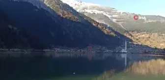 Uzungöl'deki balık ölümleri ve balıklardaki mantar hastalığı ile ilgili inceleme başlatıldı