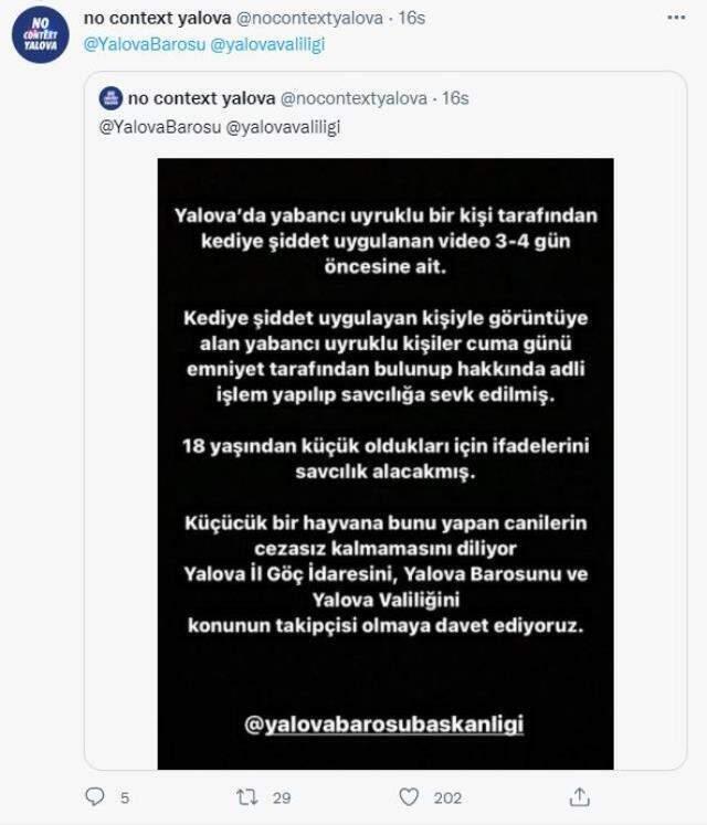Kediyi tekmeleyerek öldürüp görüntüleri sosyal medyada yayınladılar