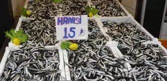 Ordu'da hamsinin kilosu 15 lira