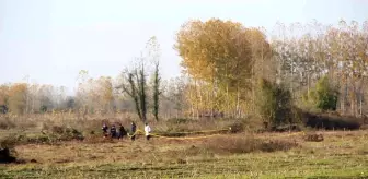 Arazi anlaşmazlığı tartışmasında baba-oğul silahla öldürüldü