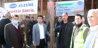 Güroymak'ta çiftçilere meyve fidanı dağıtıldı