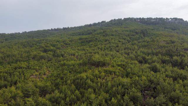 Günlerdir aranan Müslüme'nin cansız bedeninin bulunduğu yer görüntülendi Günlerdir aranan Müslüme'nin cansız bedeninin bulunduğu yer görüntülendi