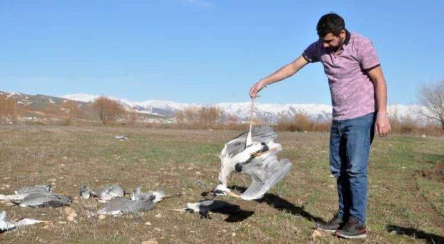 Yüksekova'daki Nehil Sazlığı alev aldı! Birçok kuş türü yaşıyor Yüksekova'daki Nehil Sazlığı alev aldı! Birçok kuş türü yaşıyor