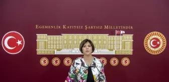 HDP Grup Başkanvekili Beştaş, gündemi değerlendirdi Açıklaması
