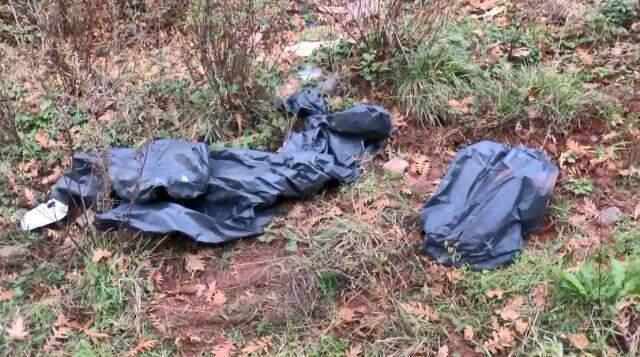 İstanbul'da ürküten görüntü! Ormanlık alanda kestikleri atların etlerini alıp götürdüler İstanbul'da ürküten görüntü! Ormanlık alanda kestikleri atların etlerini alıp götürdüler