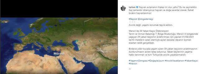 Tarkan'dan av ihalesine tepki: Hayvanlarımızı rahat bırakın! Tarkan'dan av ihalesine tepki: Hayvanlarımızı rahat bırakın!