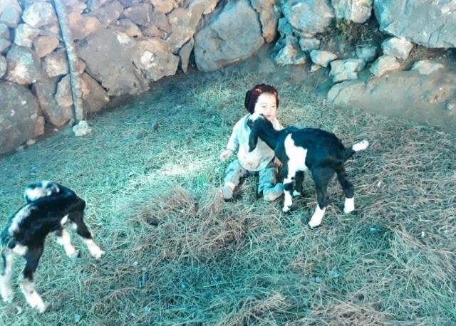 Müslüme Yağal'ın ölümünde çarpıcı ayrıntı! Ailesi tam tersi bölgeyi göstermiş