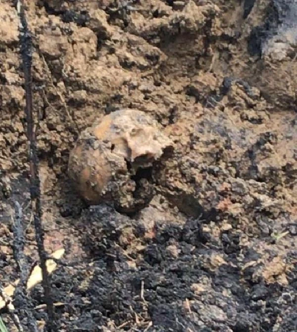 Okulda korkunç olay! Patlayan su borusunu tamir eden işçiler kafatası buldu