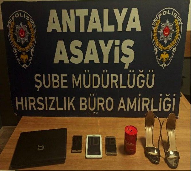 Çilingirle girdikleri evden kediyi bile çaldılar Hırsızlar Çilingirle girdikleri evden kediyi bile çaldılar Hırsızlar