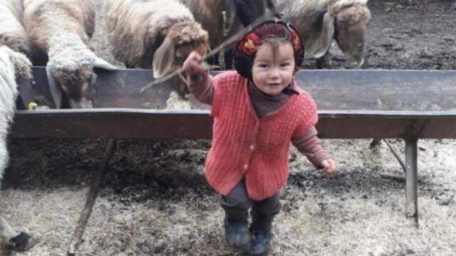 Müslüme'nin dedesi, biyolojik babası mı? Bakan Yanık'tan merak edilen soruya dikkat çeken yanıt