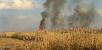 Eber Gölü çevresindeki sazlık alanda yangın çıktı