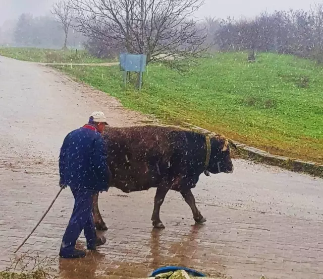 Balkanlar'dan gelen kar yağışı aralıklarla devam ediyor