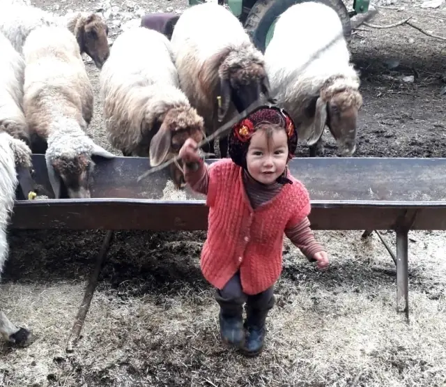 Müslüme'nin dedesi ve samuray kılıçlı katil zanlısı, Diyarbakır Yüksek Güvenlikli Cezaevine alındı