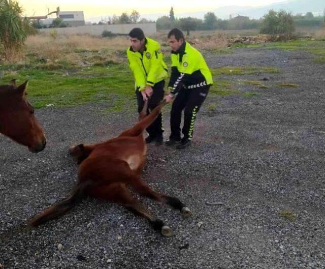 Yavrusunun başından bir an olsun ayrılmadı