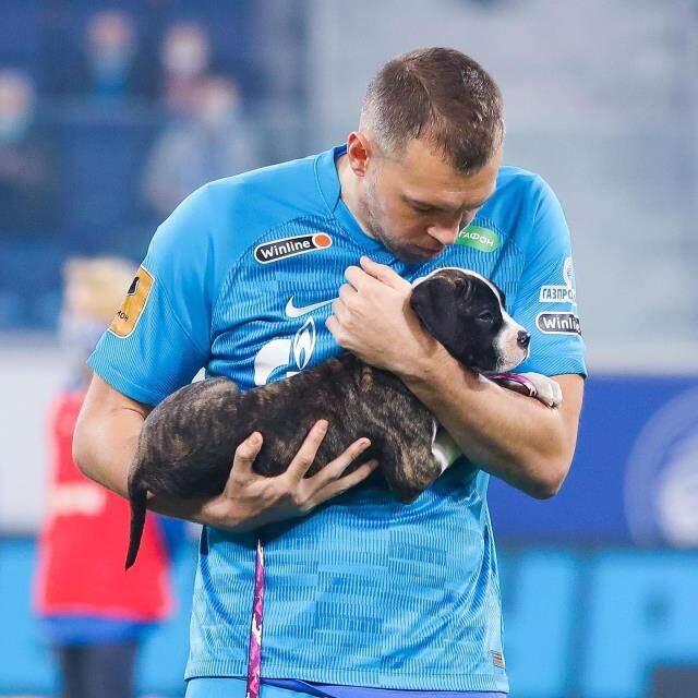 Rus futbol takımı Zenit, sahaya barınaktaki köpeklerle çıktı! İşte o anlar!