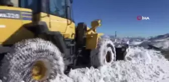 Şırnak'ta karla mücadele başladı