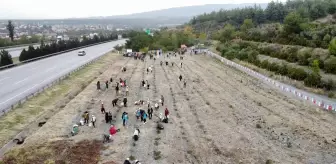 Dörtyol'da fidanlar toprakla buluşturuldu