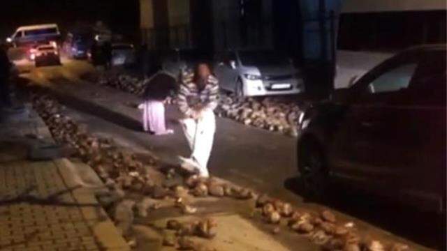 Yol şeker pancarı ile kaplandı, sürücüler ilerlemekte güçlük çekti Yol şeker pancarı ile kaplandı, sürücüler ilerlemekte güçlük çekti