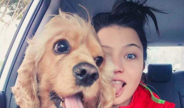Tasmasız dolaştırılan pitbull tarafından parçalanan köpeğin sahipleri harekete geçti Tasmasız dolaştırılan pitbull tarafından parçalanan köpeğin sahipleri harekete geçti