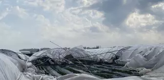 2 gün sonra hasat yapılacak seralar, fırtınada yerle bir oldu