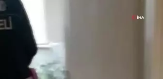 Kenevir serasına çevrilen eve operasyon