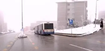 Yüksek bölgelerde kar etkili oldu (2)