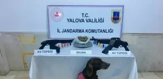 Çınarcık'ta uyuşturucu operasyonu