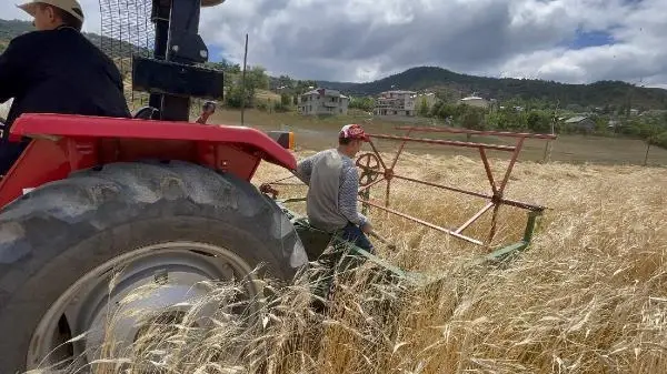 Ordu'da atıl araziler ekonomiye 75 milyon TL kazandırdı