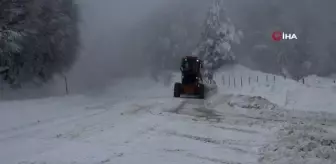 Kocayayla Geçidi'nde ulaşıma kar engeli