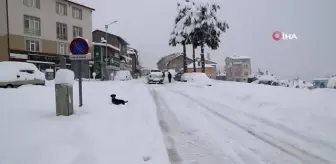 Konya'nın Hadim ilçesinde kar kalınlığı yarım metreyi geçti