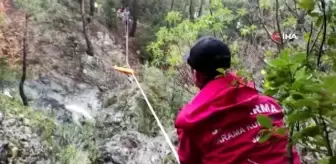 Doğa sever tır sürücüsünden geriye ayı beslerken çektiği görüntüler kaldı
