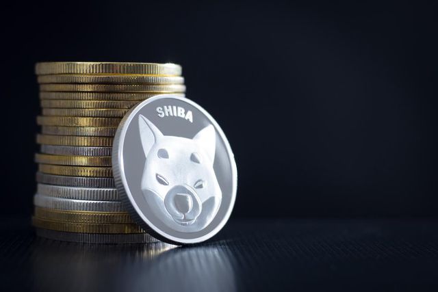 HUH Token Kripto Yarışına Giriyor ve Dogecoin ve Shiba Inu'ya Katılıyor