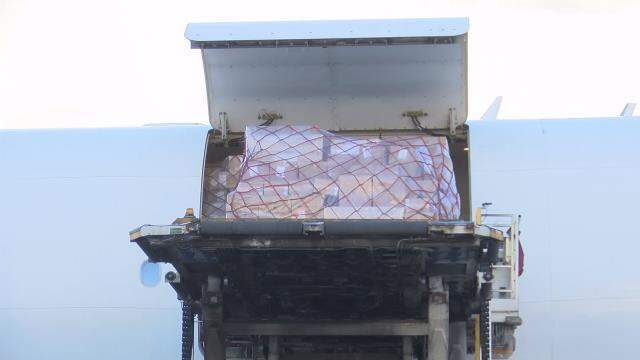 Türkiye'nin milli otomobili TOGG fuar için ABD'ye götürülüyor Türkiye'nin milli otomobili TOGG fuar için ABD'ye götürülüyor